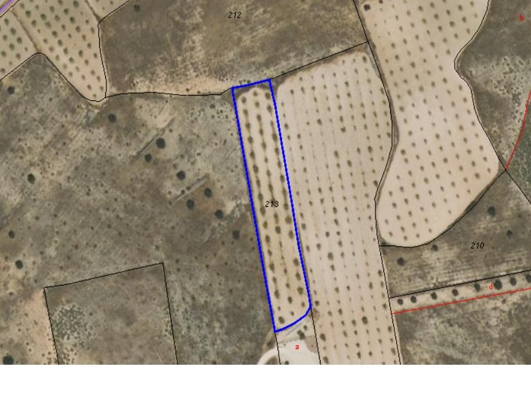 Plot for Sale in Jumilla, Murcia 3