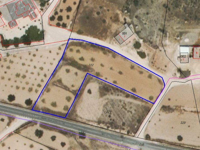 Plot for Sale in Jumilla, Murcia 3