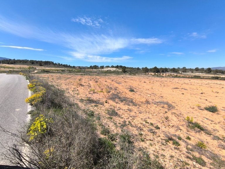 Plot for Sale in La Zarza, Murcia 2