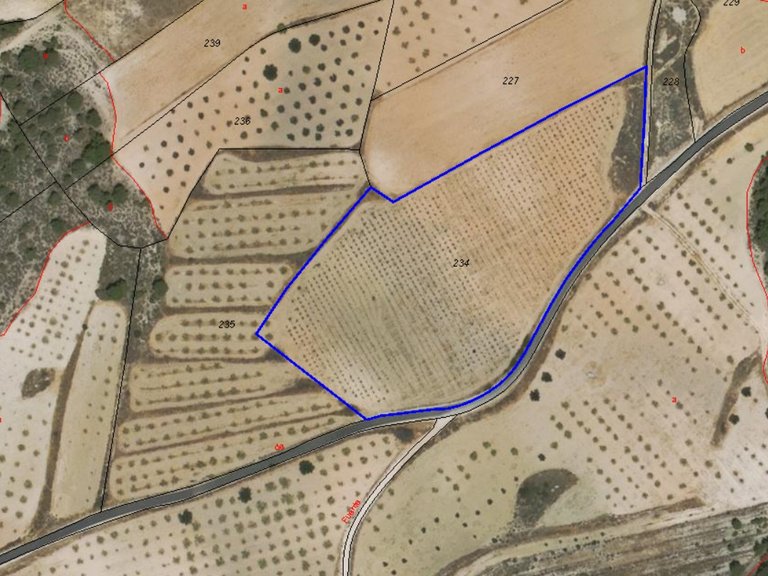 Plot for Sale in La Zarza, Murcia 4