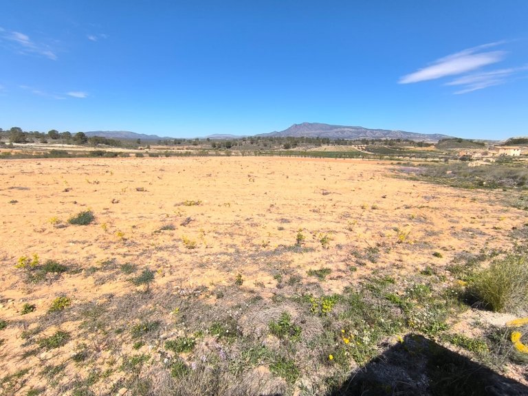 Plot for Sale in La Zarza, Murcia 1