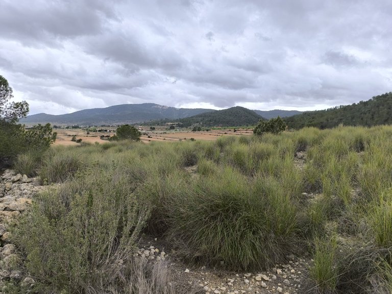 Plot for Sale in Chinorlet, Alicante 4