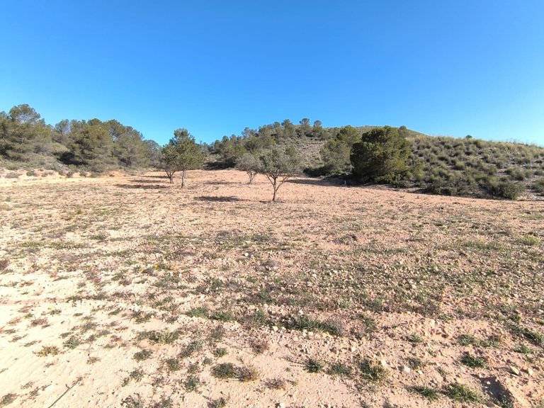 Plot for Sale in Yecla, Murcia 2
