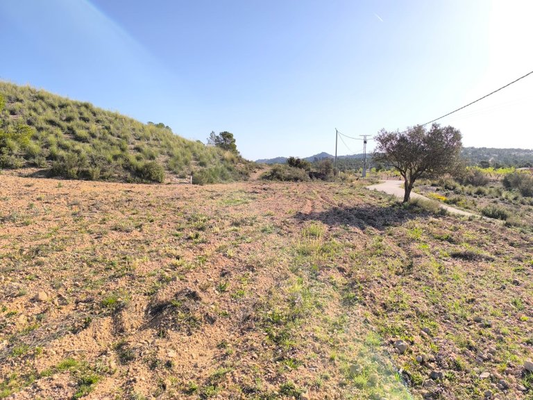 Plot for Sale in Yecla, Murcia 3