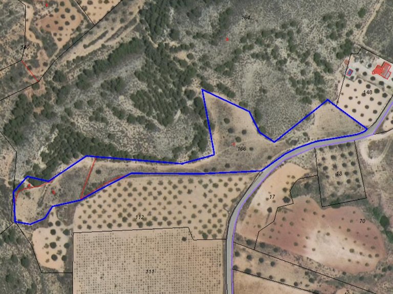 Plot for Sale in Yecla, Murcia 4