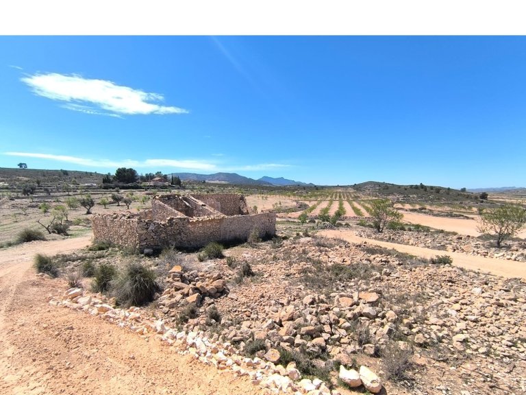 Town House for Sale in Pinoso, Alicante 1