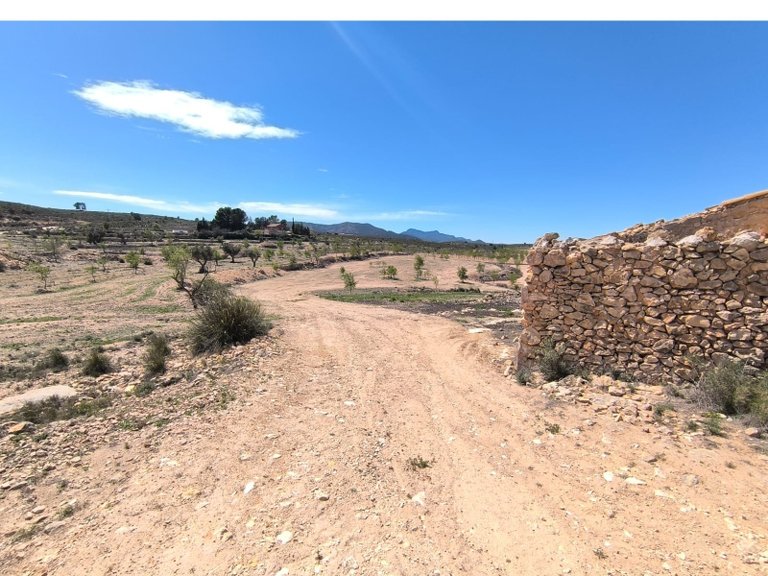Town House for Sale in Pinoso, Alicante 8