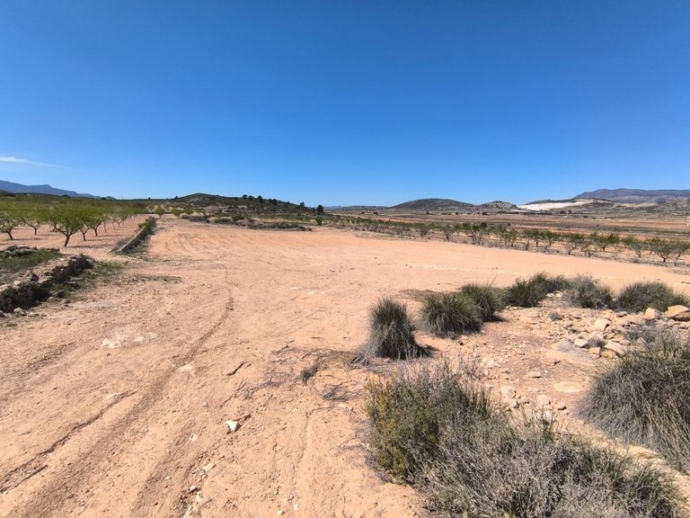 Town House for Sale in Pinoso, Alicante 9
