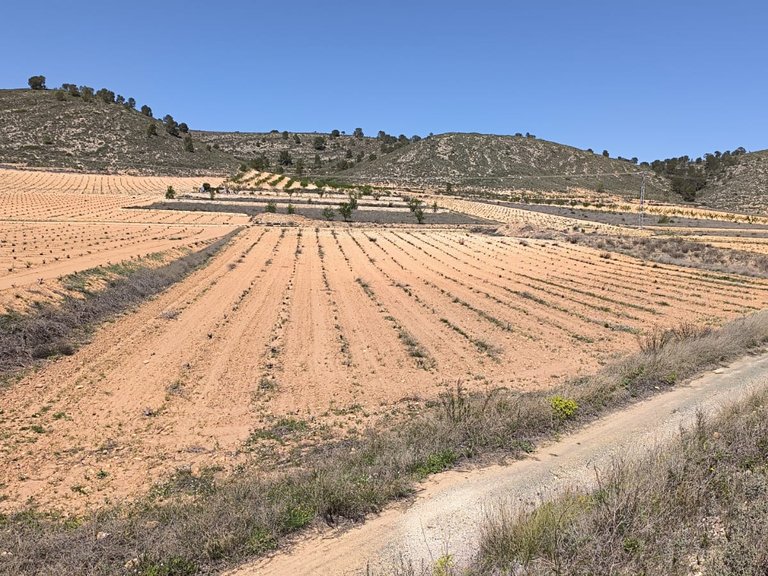 Plot for Sale in Abanilla, Murcia 3