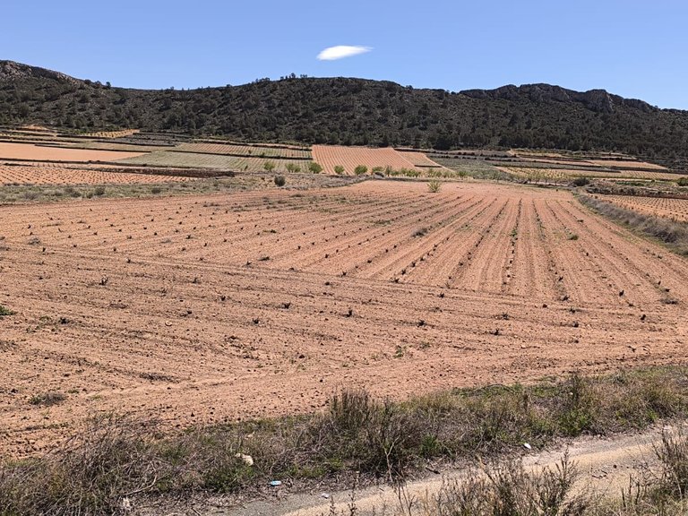 Plot for Sale in Abanilla, Murcia 2