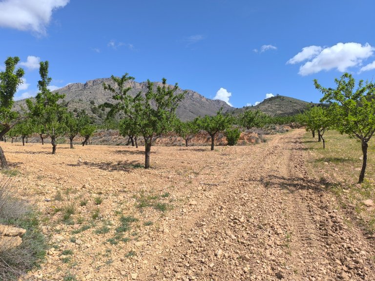 Plot for Sale in Orihuela, Alicante 4