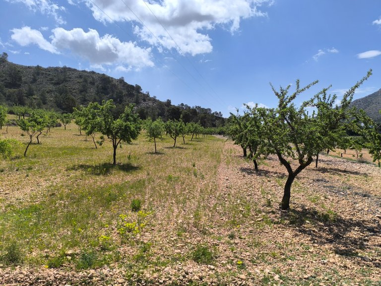 Plot for Sale in Orihuela, Alicante 2