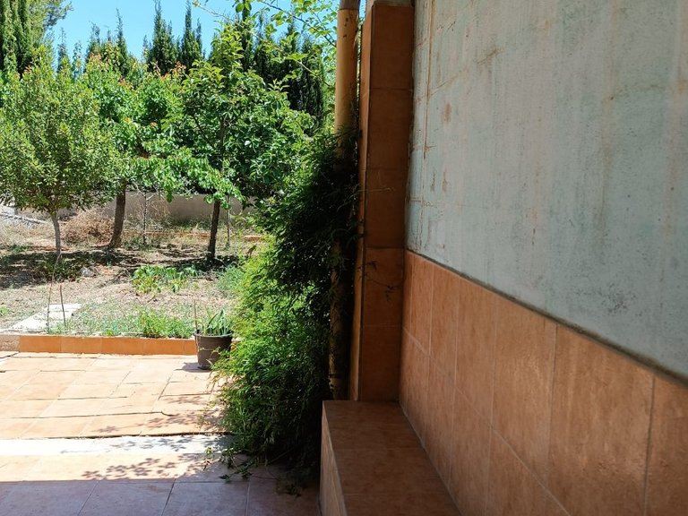 Country House for Sale in Monovar, Alicante 3