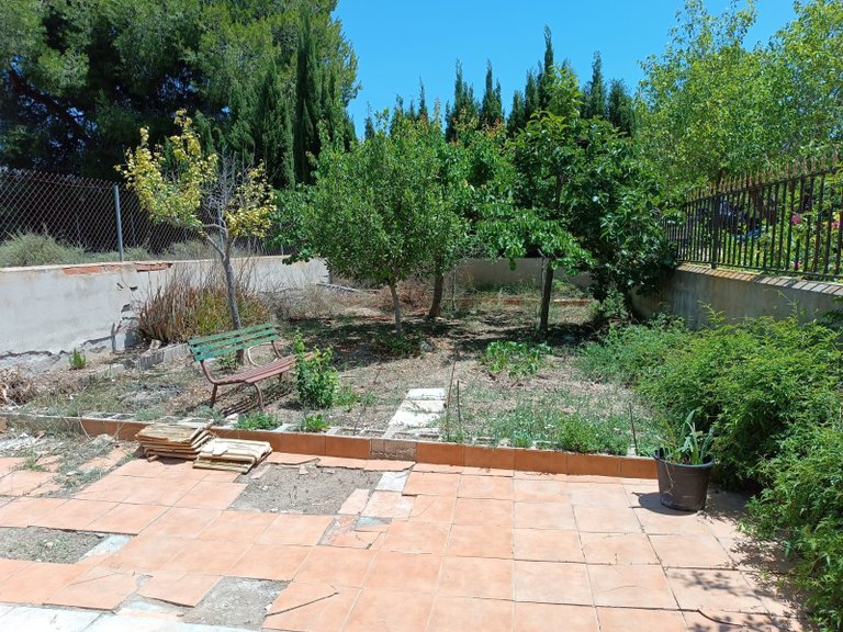 Country House for Sale in Monovar, Alicante 2