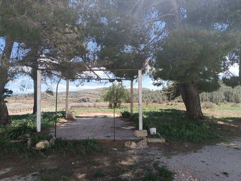 Country House for Sale in Yecla, Murcia 3