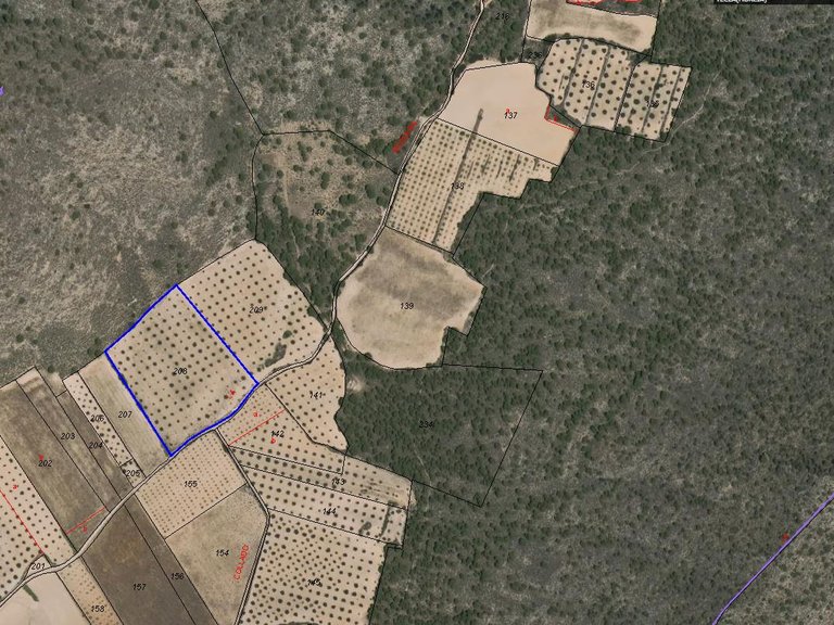 Plot for Sale in Yecla, Murcia 6