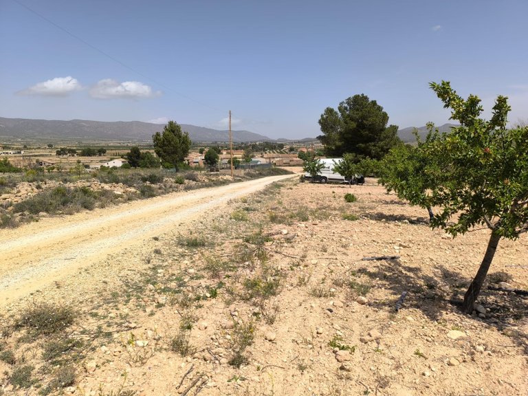 Plot for Sale in Pinoso, Alicante 3