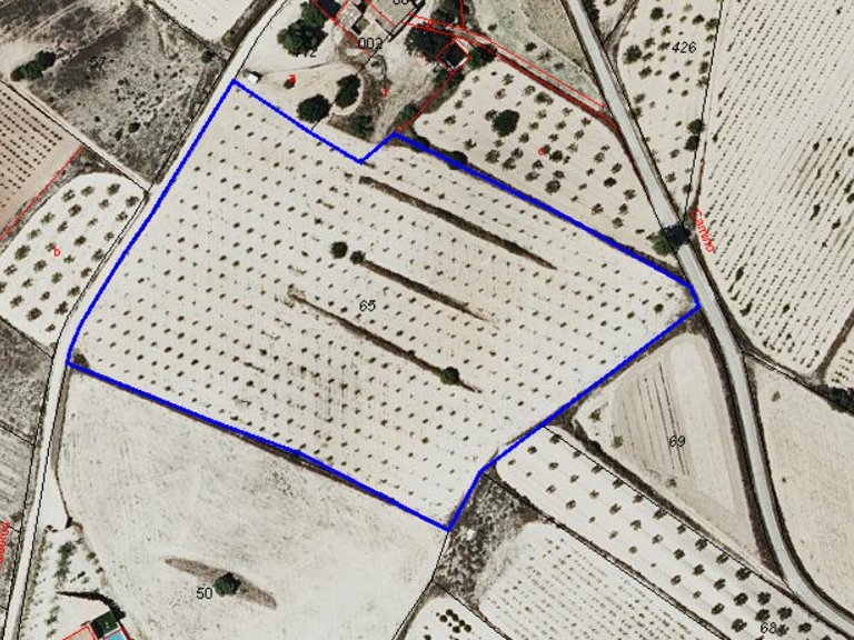 Plot for Sale in Pinoso, Alicante 6