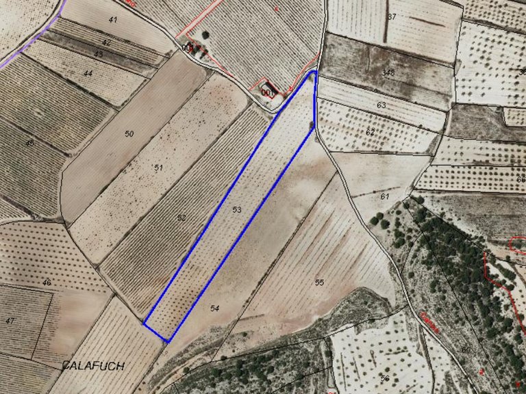Plot for Sale in Monovar, Alicante 7