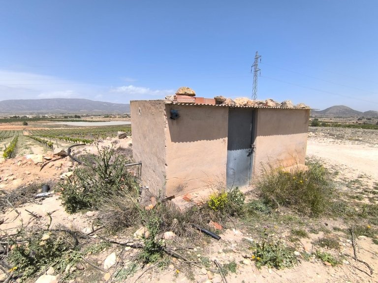 Plot for Sale in Monovar, Alicante 3