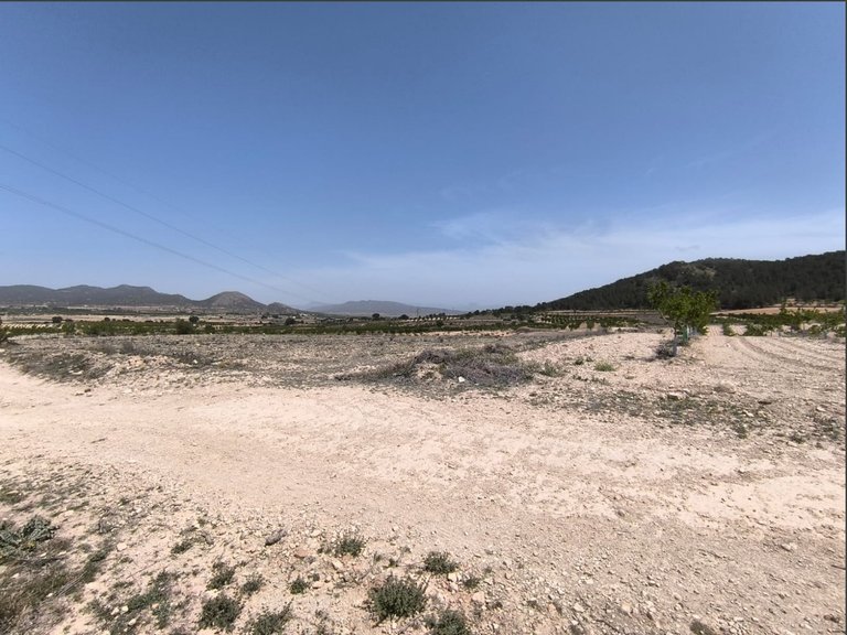 Plot for Sale in Monovar, Alicante 1