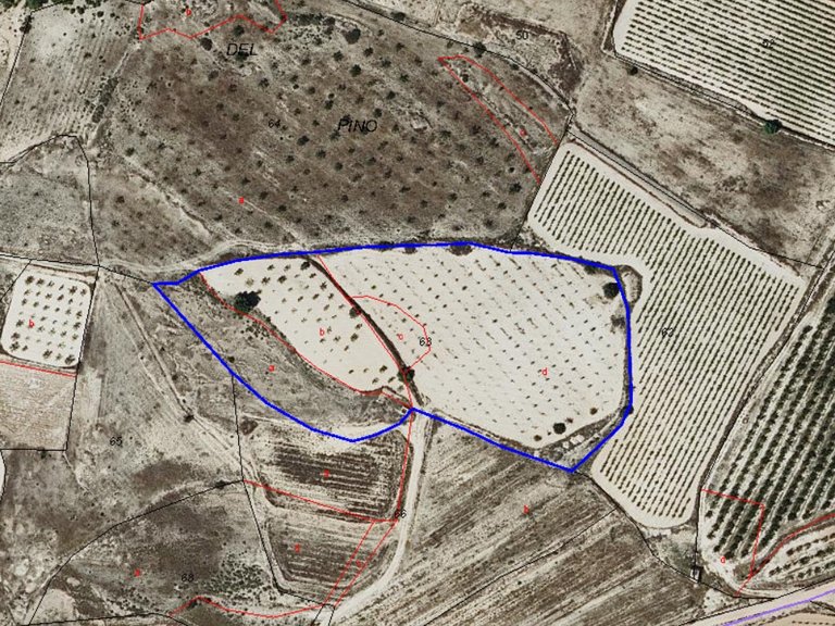 Plot for Sale in Monovar, Alicante 5