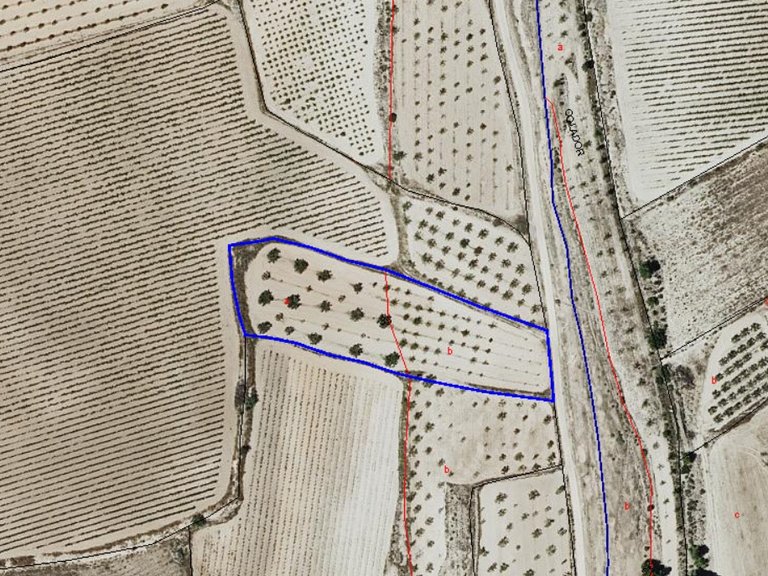 Plot for Sale in Pinoso, Alicante 5