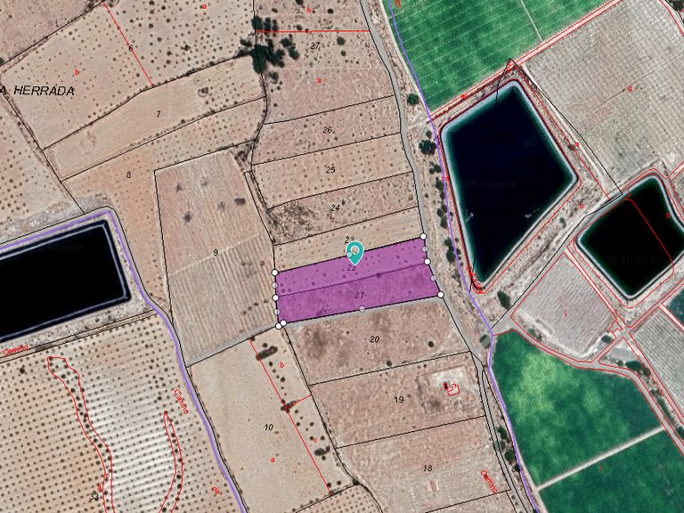 Plot for Sale in Monovar, Alicante 5