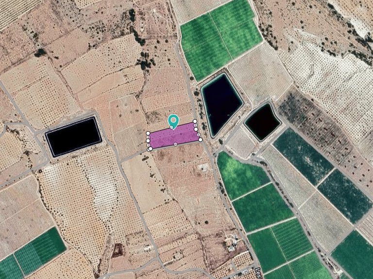 Plot for Sale in Monovar, Alicante 6