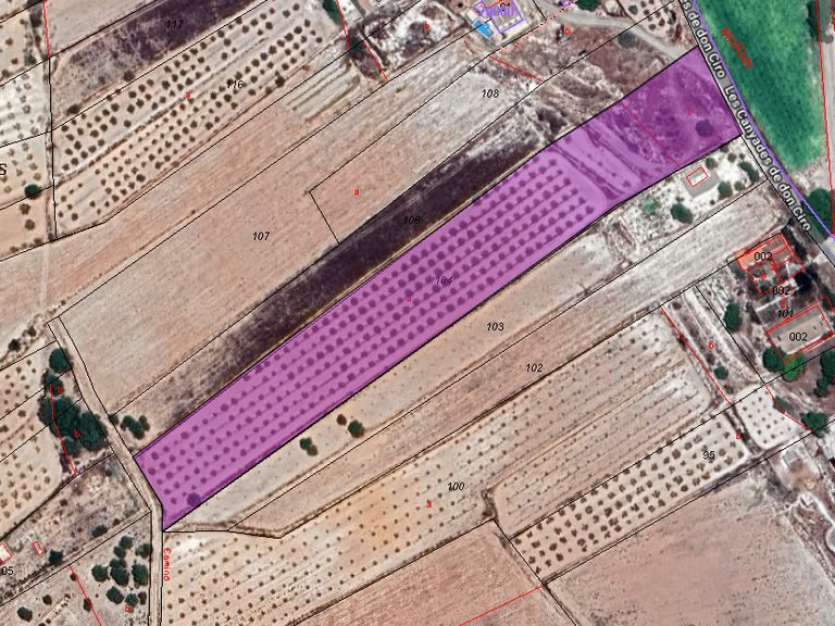 Plot for Sale in Monovar, Alicante 5