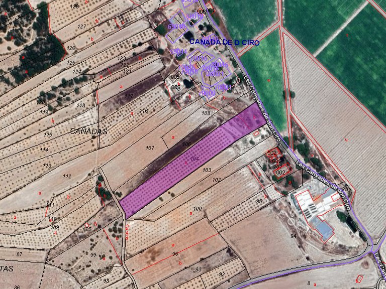 Plot for Sale in Monovar, Alicante 6