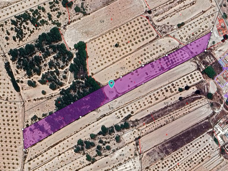 Plot for Sale in Monovar, Alicante 7