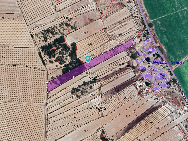 Plot for Sale in Monovar, Alicante 8