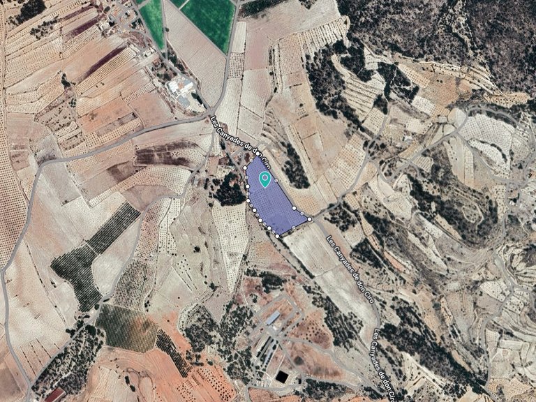 Plot for Sale in Monovar, Alicante 5