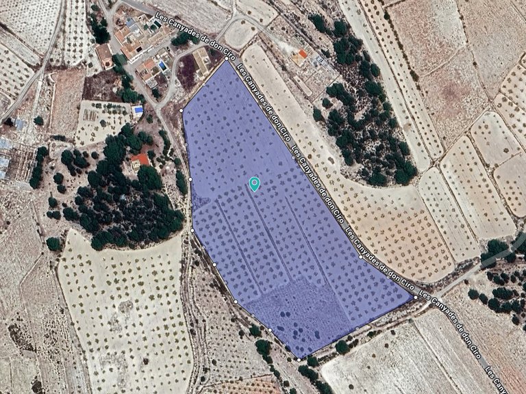 Plot for Sale in Monovar, Alicante 4