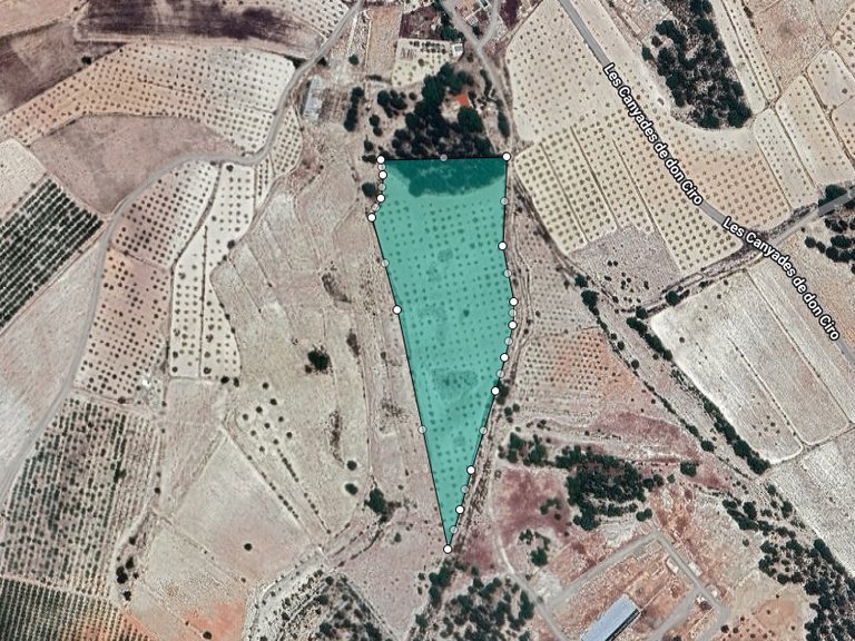 Plot for Sale in Monovar, Alicante 1