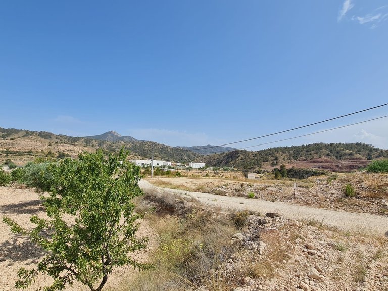 Plot for Sale in Abanilla, Murcia 8