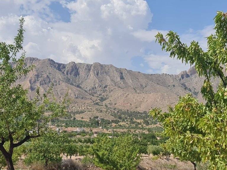 Plot for Sale in Abanilla, Murcia 5