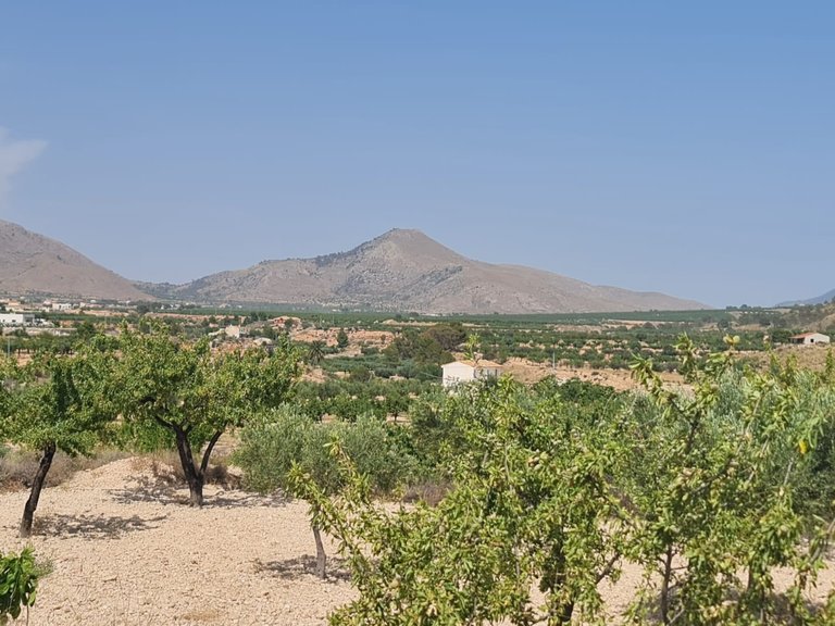 Plot for Sale in Abanilla, Murcia 4
