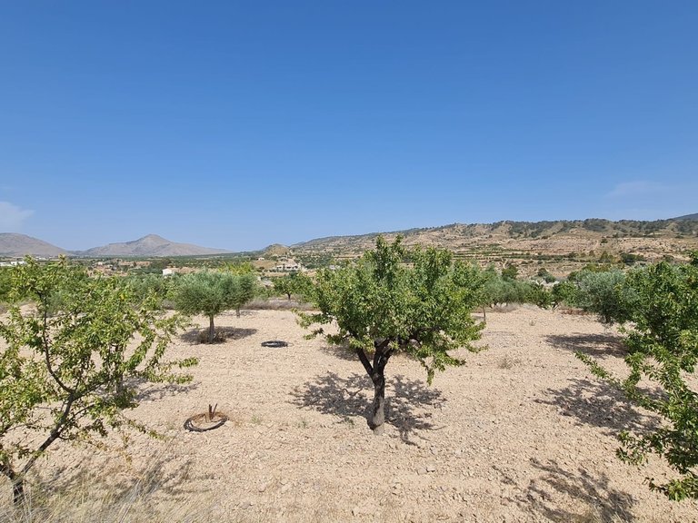 Plot for Sale in Abanilla, Murcia 2