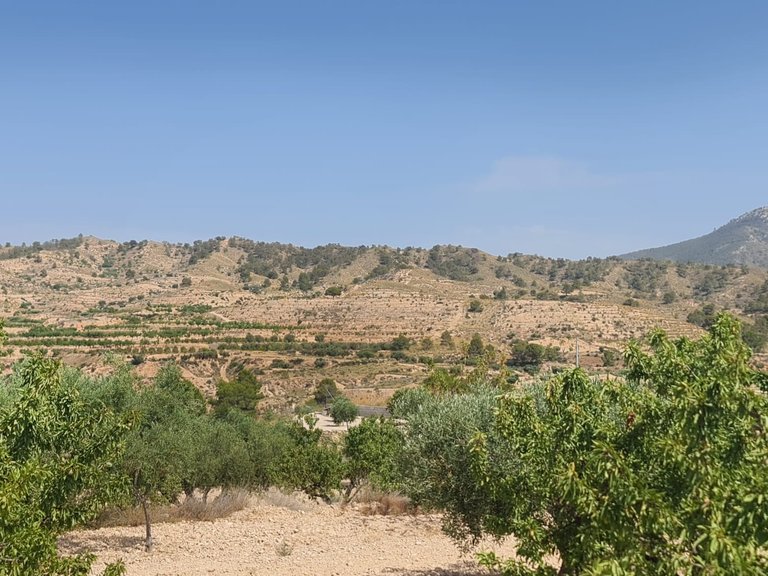 Plot for Sale in Abanilla, Murcia 1