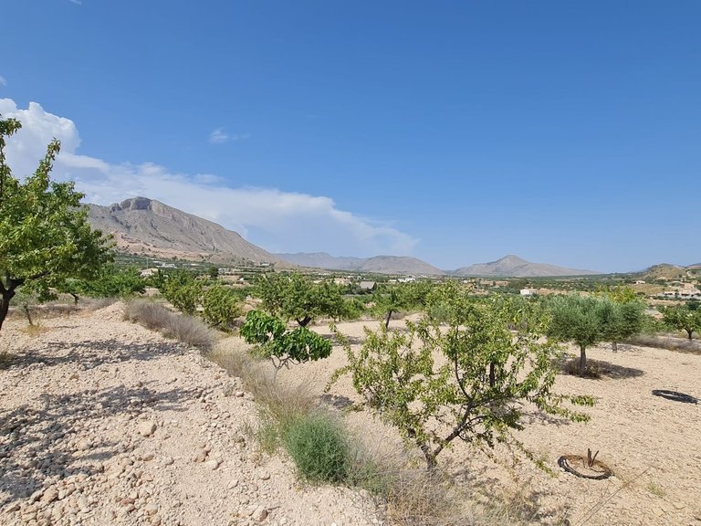 Plot for Sale in Abanilla, Murcia 9