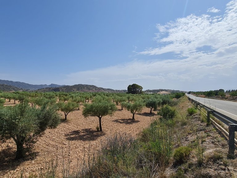 Plot for Sale in Abanilla, Murcia 6