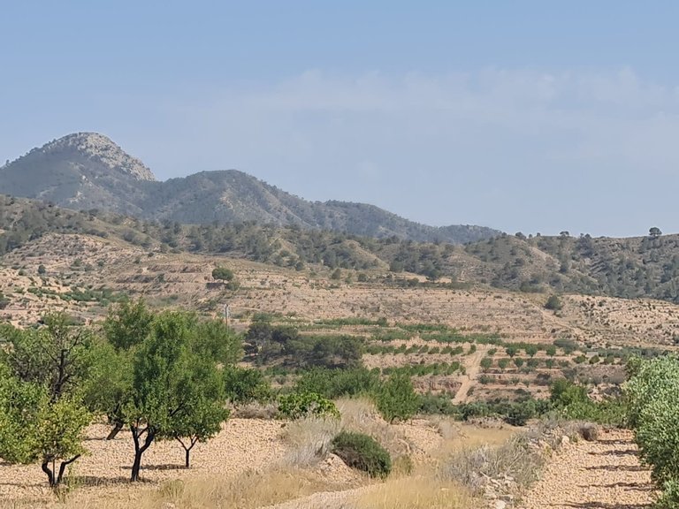 Plot for Sale in Abanilla, Murcia 1