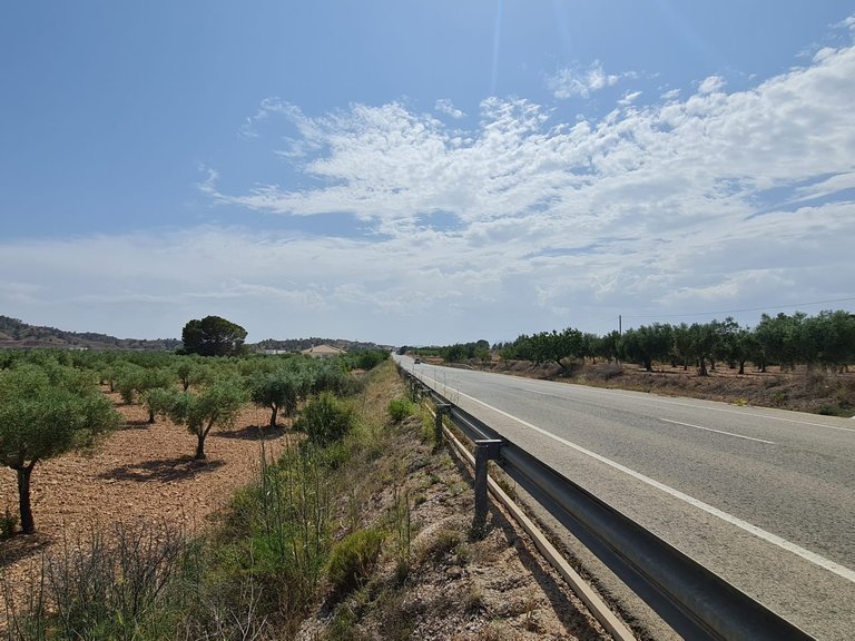 Plot for Sale in Abanilla, Murcia 2