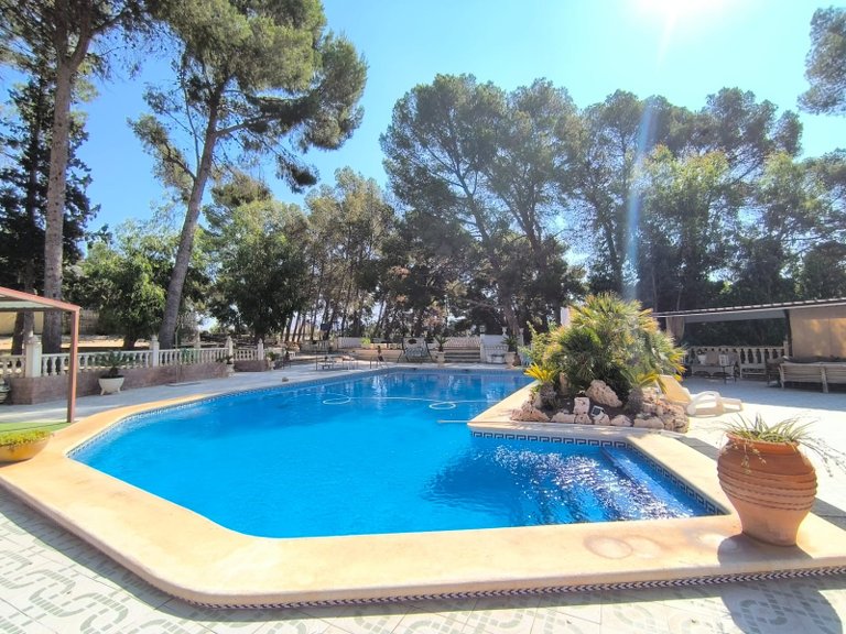 Villa for Sale in Monovar, Alicante 26