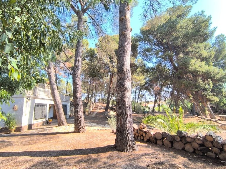 Villa for Sale in Monovar, Alicante 42