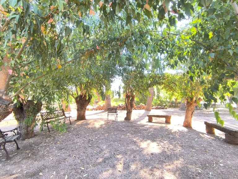 Villa for Sale in Monovar, Alicante 43