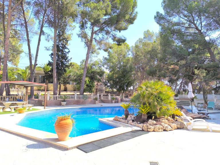 Villa for Sale in Monovar, Alicante 3