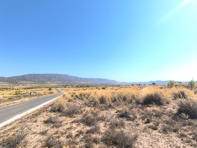 Plot for Sale in Pinoso, Alicante 9
